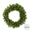 Vickerman 10" Mini Pine Wreath 90 Tips Pk/6 - A802609-6